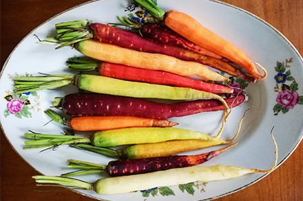 Melting-pot de carottes © Lucasd Jaron Diététicien En Equilibres